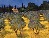 Philip Craig Canvas Paintings - Les Olives en Printemps (The Olives in Spring)